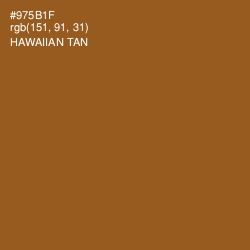 #975B1F - Hawaiian Tan Color Image